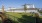 Dog Park - Dog Friendly Apartments | Madison Grove
