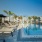 Palm Trees and Chaise Loungers at Pool | Madison Grove